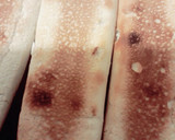 Foto del paso 4 de la receta: Italianos🌭💕🥤
