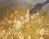 A picture of step 8 of Homemade degi chicken qorma.