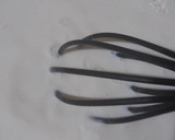 Foto del paso 3 de la receta: Spaghetti con camarones