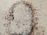 Banana Strudel