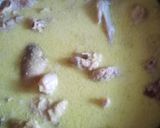 Foto langkah ke 4 dari resep Opor Ayam.