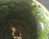 A picture of step 4 of Palak paneer.