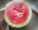 A picture of step 1 of Watermelon Shake.