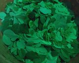 Foto langkah ke 1 dari resep Sayur Daun Kelor (Moringa).