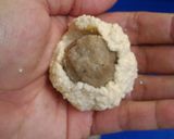 Foto langkah ke 3 dari resep TAHU BULAT isi BAKSO.
