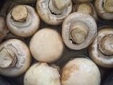Matar mushroom