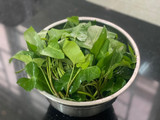 Canh Nấm Đùi Gà Nấu Rau Muống