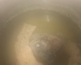 Foto del paso 1 de la receta: 444. Trucha asalmonada rellena al horno (principal pescado)