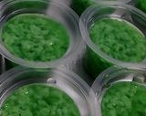 Foto langkah ke 4 dari resep Pudding lumut.