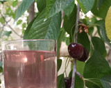 عکس مرحله 1 از دستور جوشانده گیلاس و دُم گیلاس