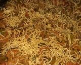 A picture of step 2 of Capsicum sev veggie.