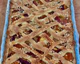 A picture of step 9 of Apricot and Nectarine Tart.