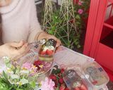 免烤纯素鳄梨開心果芝士蛋糕的食譜步驟39照片