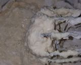 Foto del paso 3 de la receta: Pan de leche super esponjoso