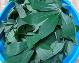 Foto langkah ke 1 dari resep Gulai Daun Singkong.