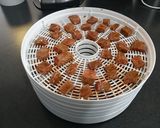 A picture of step 5 of Super Hot, Spicy 'n Smokey Beef Jerky.