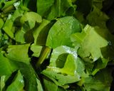 Foto langkah ke 1 dari resep Tumis Sayur Genjer Pedas.