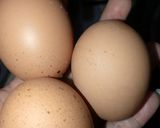 Foto langkah ke 1 dari resep Pindang telur.