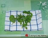 Fresh herbs cubes recipe step 2 photo