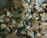 A picture of step 1 of Dry fruit sevaiyaan.