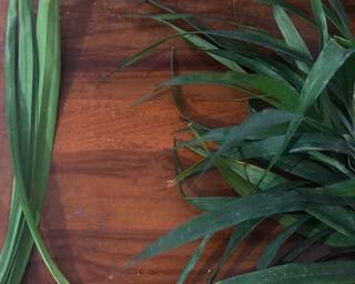 •CENDOL DAWET• 🤤 - Step 1