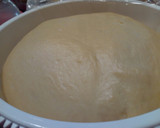 Foto del paso 4 de la receta: Panettone