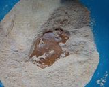 Foto del paso 2 de la receta: Masa de tarta