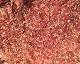 Foto del paso 3 de la receta: Tabaquitos árabes (Yabrak)