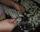 Foto del paso 9 de la receta: Ñoquis tradicionales (con tips)