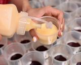 Hình bước làm 3 của món Món caramel cho 4 người ăn