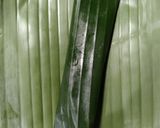 Foto langkah ke 6 dari resep Otak-otak Ayam.