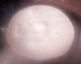 A picture of step 10 of Phulka Chapati.