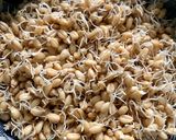 A picture of step 1 of Nishaaste ka Halwa(Soaked Whole wheat flour Sheera).