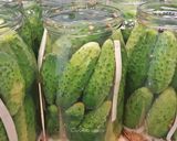 Csemegeuborka recept fázis 2 fotója