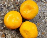 Foto del paso 1 de la receta: 🍊🧡 Cuadraditos de mandarina glaseados 🧡 Tangerinies 🧡🍊