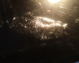 Foto del paso 5 de la receta: Pan con pepitas de chocolate y naranja confitada