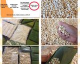Foto langkah ke 6 dari resep Tempe homemade.