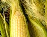 Foto langkah ke 3 dari resep Teh Tongkol Jagung (Corncob) - Bahan Alami Serbaguna.