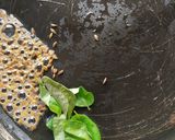 A picture of step 5 of Tawa Lauki.