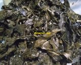 Foto langkah ke 3 dari resep Oseng Daun Cangkudu (mengkudu).
