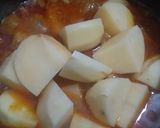 A picture of step 7 of Aloo Chicken Salan.