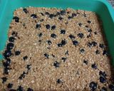 Foto del paso 3 de la receta: Barras de avena y arándanos saludable.🤩👩🏼‍🍳
