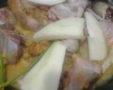 Foto langkah ke 3 dari resep Opor ayam kampung.