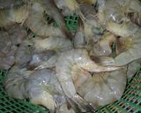 Foto langkah ke 2 dari resep Tumis kacang panjang dan udang.