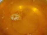 Mango jelly custard