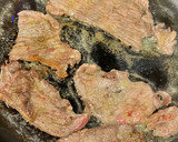Foto del paso 2 de la receta: Guiso de Ternera y Setas (versión del Fricandó de Ternera)