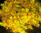 A picture of step 9 of Vegetable DALIA.