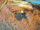 3K (Kering, Kentang, Kacang)