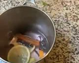 Une image de l'étape 6 de Tisane détox gingembre 🫚 citron 🍋 curcuma hibiscus 🌺.
