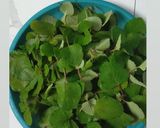 Foto langkah ke 1 dari resep Sayur bangun bangun.